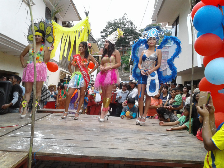 Carnaval La Asunción