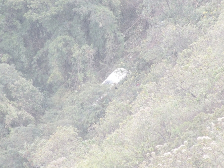 Desde la vía Cuenca-Molleturo se observaba parcialmente a la buseta accidentada que terminó en una pendiente. 