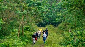 El Chocó Andino en Ecuador está entre los mejores destinos del mundo para visitar en 2026