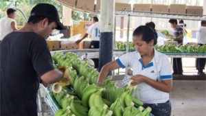 Hacienda La Clementina no puede venderse por presencia y extorsión de grupo criminal