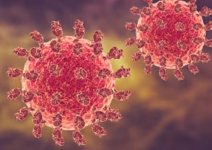Autoridades sanitarias refuerzan vigilancia por el virus Nipah, un patógeno con alto riesgo y sin tratamiento específico