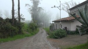 Comunidades de Sula–Moisol retoman alerta de seguridad