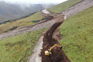 Justicia detiene ampliación vial en Cotopaxi para evitar la extinción de anfibio único en el mundo