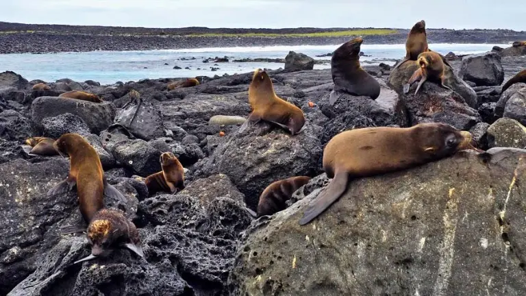 Las Islas Galápagos recibe reconocimiento internacional por su modelo de conservación y turismo sostenible