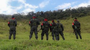 Primer ataque militar en Catatumbo tras reunión entre Petro y Trump deja siete guerrilleros del ELN muertos
