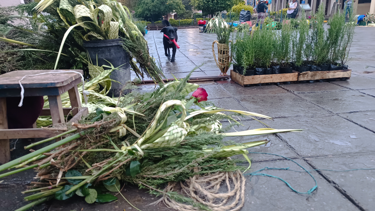 En Semana Santa se invita a reflexionar sobre el cuidado de la naturaleza