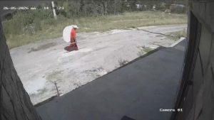 Robo de mochila con un celular quedó grabado, luego llamaron para pedir dinero