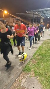 GiRUN invita a recorrer Girรณn en una ยซSocial Runยป
